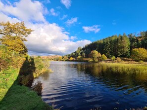 A serene river landscape with a clear sky, surrounded by dense forest and grassy areas. - Beautifully Presented 2-bed Static Caravan (Newton Stewart)