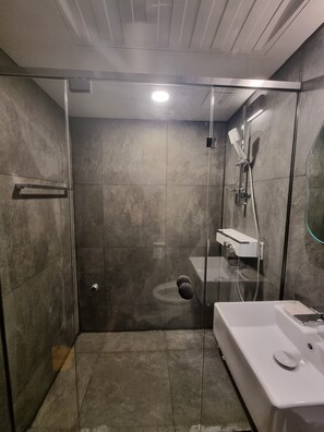Shower, hair dryer, bidet, towels