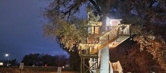 Covington Hobbitlike Cottage
