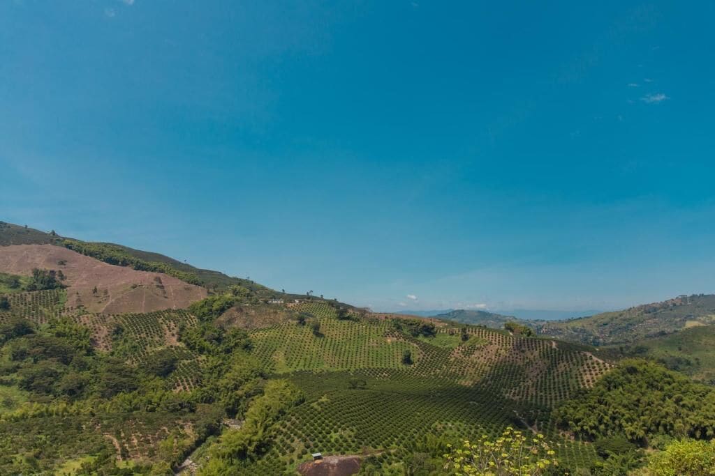 Foto - Hotel Resort Del Cafe