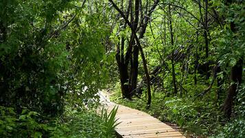 Enceinte de l’hébergement