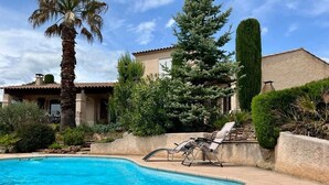 A swimming pool with a palm tree and a chair.