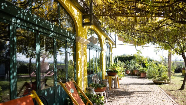 A covered patio area with a brick pathway, potted plants, and outdoor seating. - Acetaia Malagoli Daniele e B&B (Castelfranco Emilia)