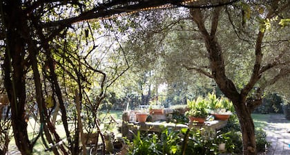 Acetaia Malagoli Daniele e B&B