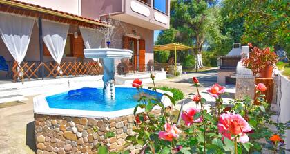 House with a small swiming pool