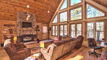 Télévision, cheminée, livres