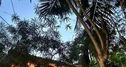 The Wild Flower - Aesthetic Portuguese Cottage