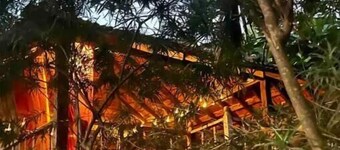 The Wild Flower - Aesthetic Portuguese Cottage