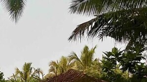 A two-story building with a balcony, surrounded by lush greenery and palm trees.