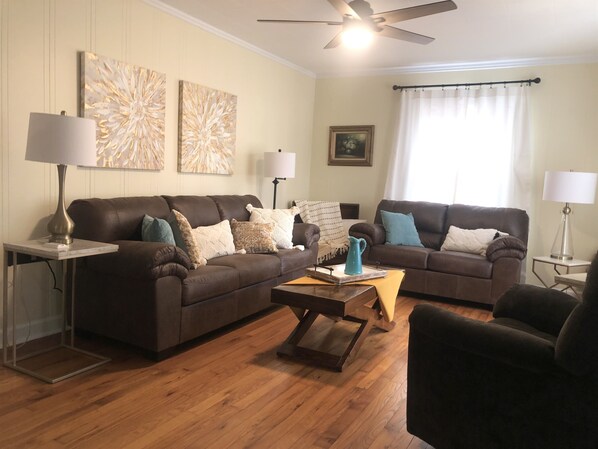 Smart TV, fireplace, books