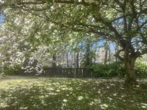 Property grounds - Doc's Cottage - A-Frame in Piggott, AR (Piggott)