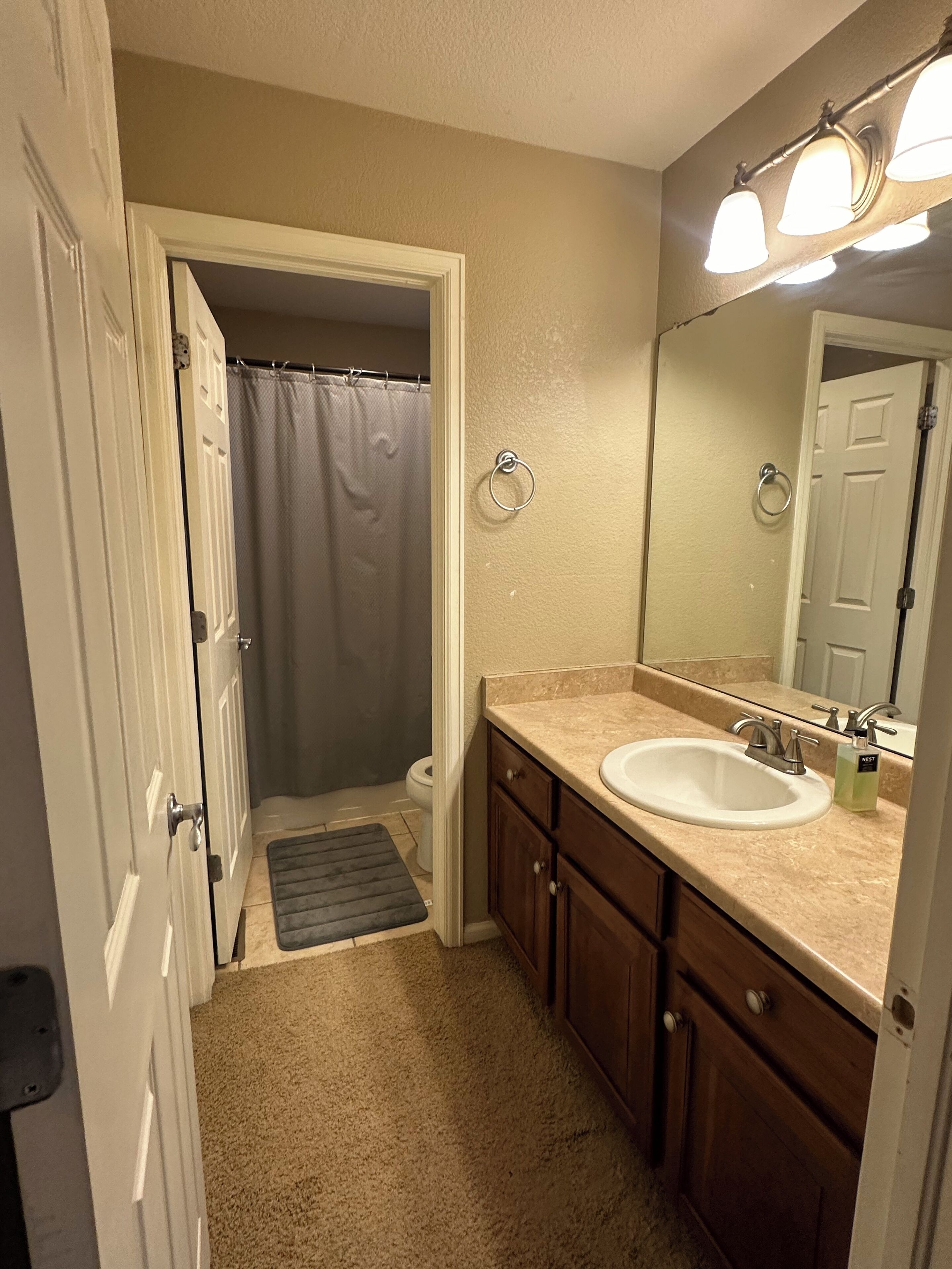 A bathroom with a shower, toilet, sink, and a mirror.