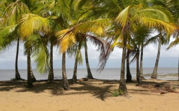 Praia