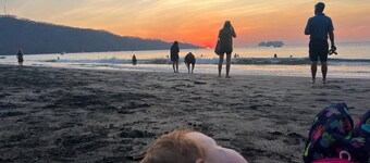 Casa Mango Baby Beach