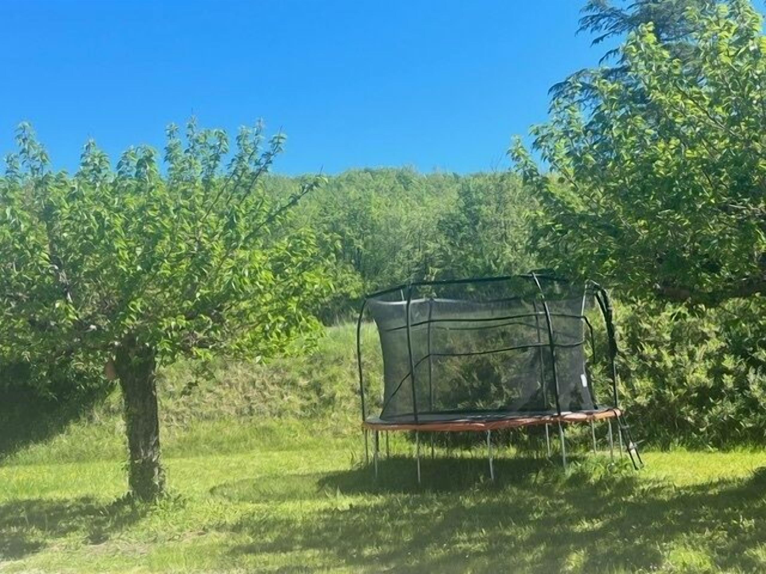 A trampoline with a safety net in an outdoor setting.