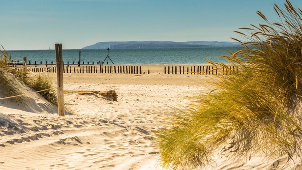 A sandy beach with a wooden fence and a grassy area. - Unique Comfy Remodelled Railway Carriage (Chichester)