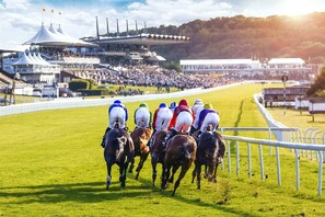 Eine Pferderennbahn mit mehreren Pferden und Jockeys in Bewegung.