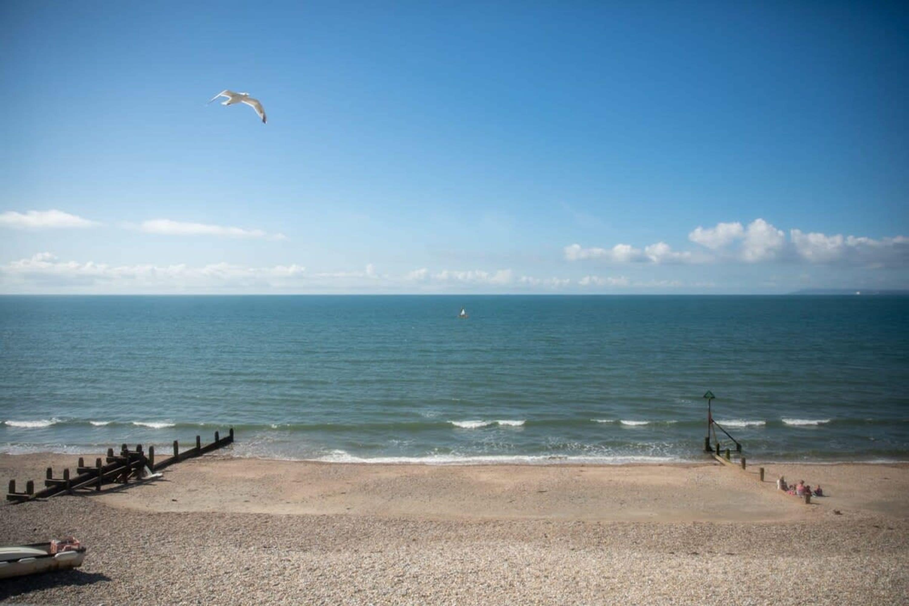 Une plage avec une clôture en bois, un poste de surveillance pour les sauveteurs et une mouette en vol.