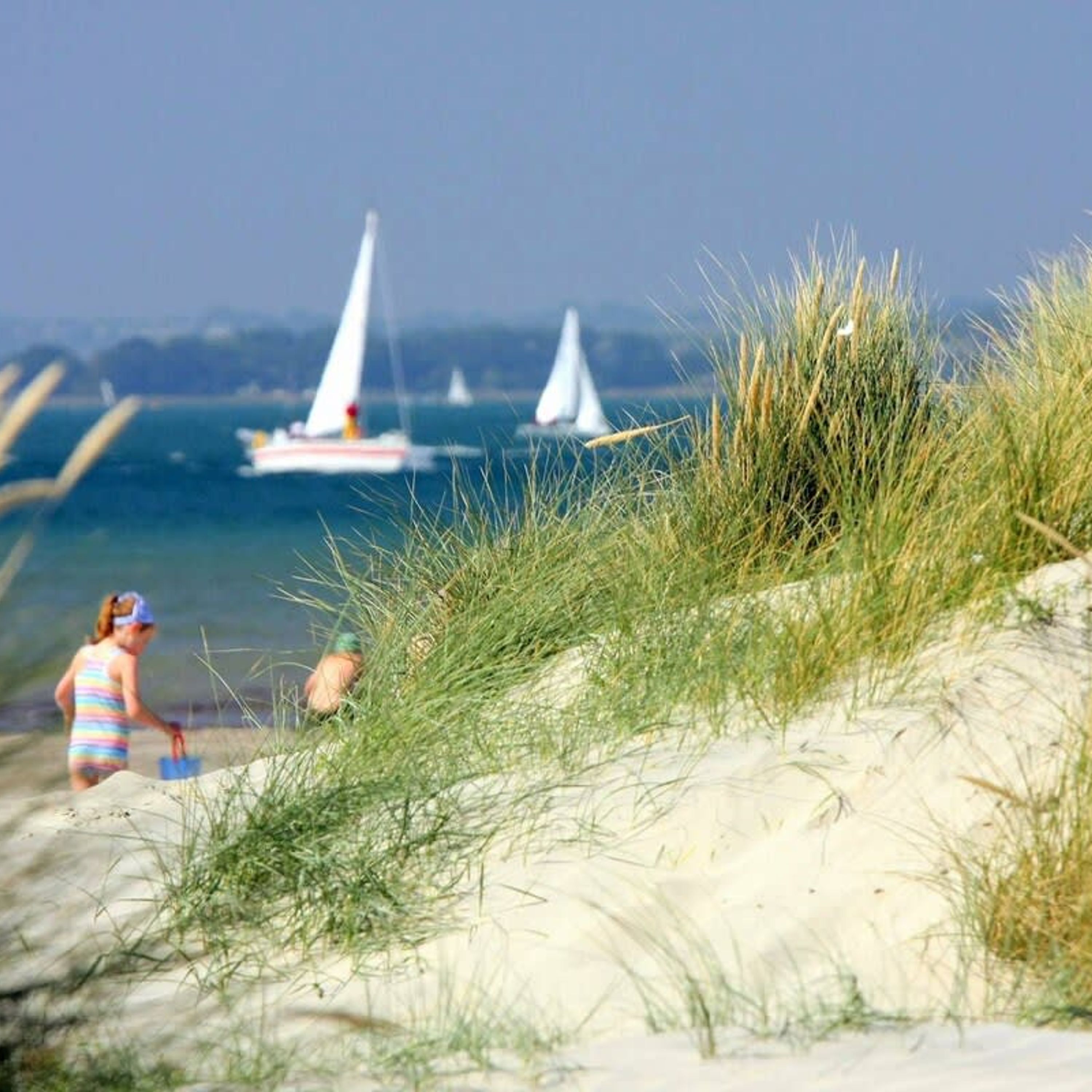 A beach with sand dunes and a clear view of sailboats on the water.