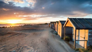 House | 6 bedrooms, desk, iron/ironing board, Internet