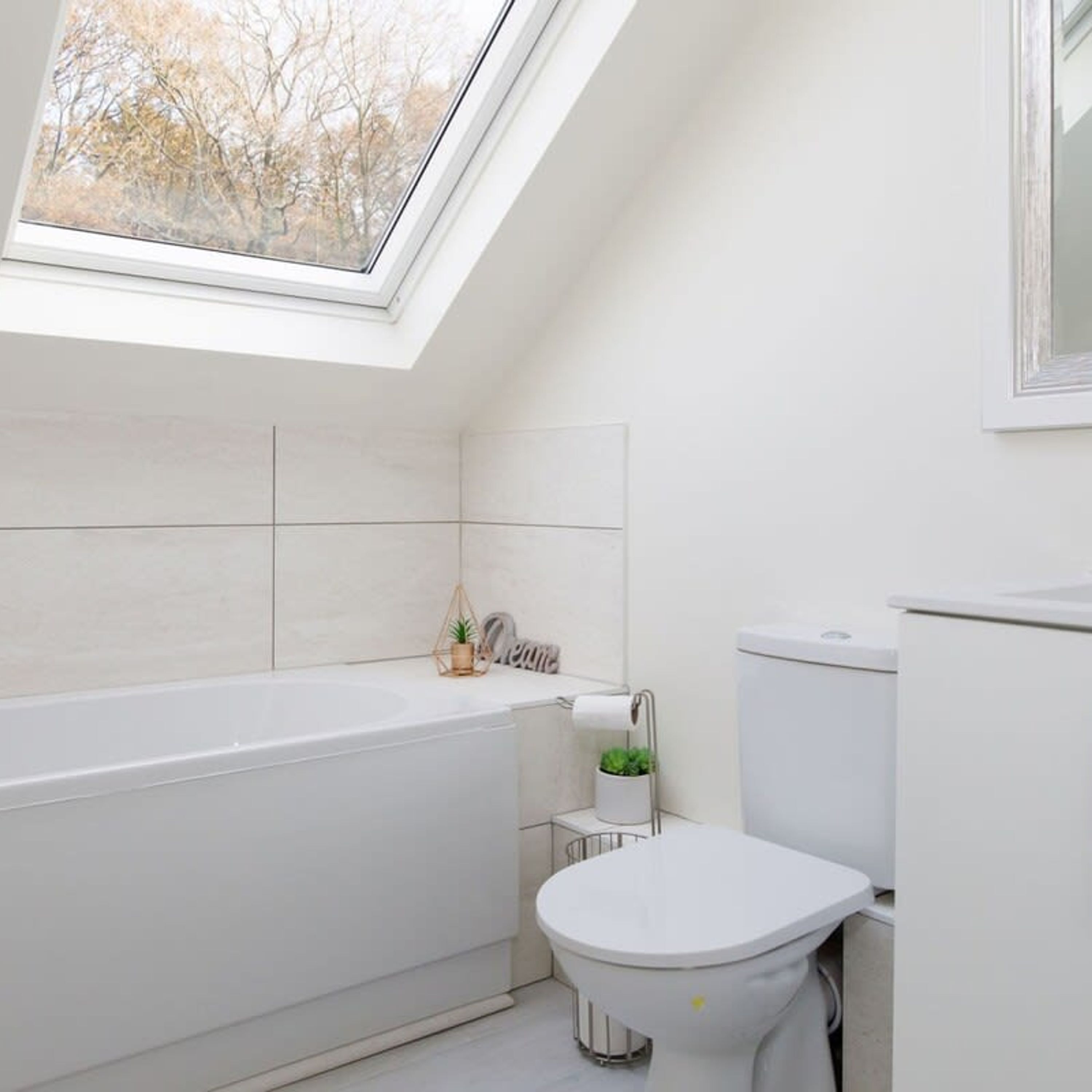 Une salle de bain moderne avec une lucarne, une baignoire, des toilettes et une petite plante.
