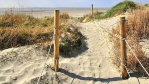 Un sentier de plage sablonneux, bordé de poteaux en bois et délimité par des cordes.