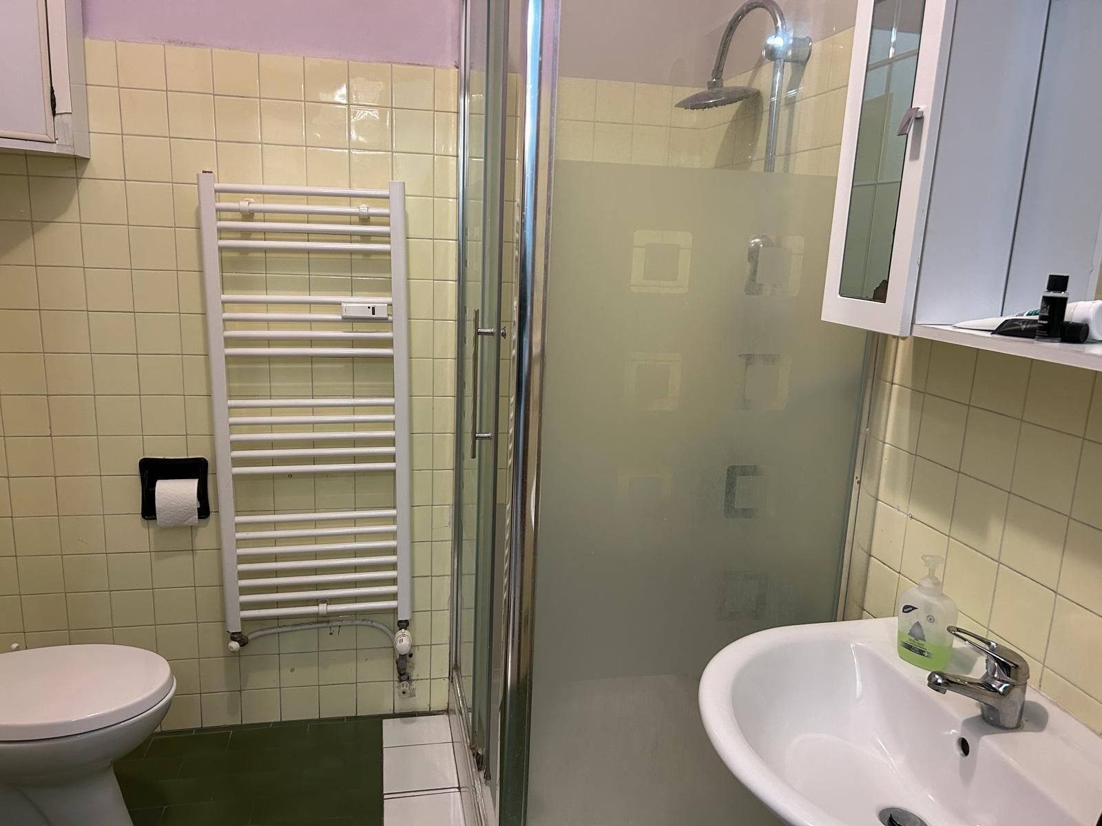 A bathroom with a toilet, a glass-enclosed shower, a white sink, and a towel rack.