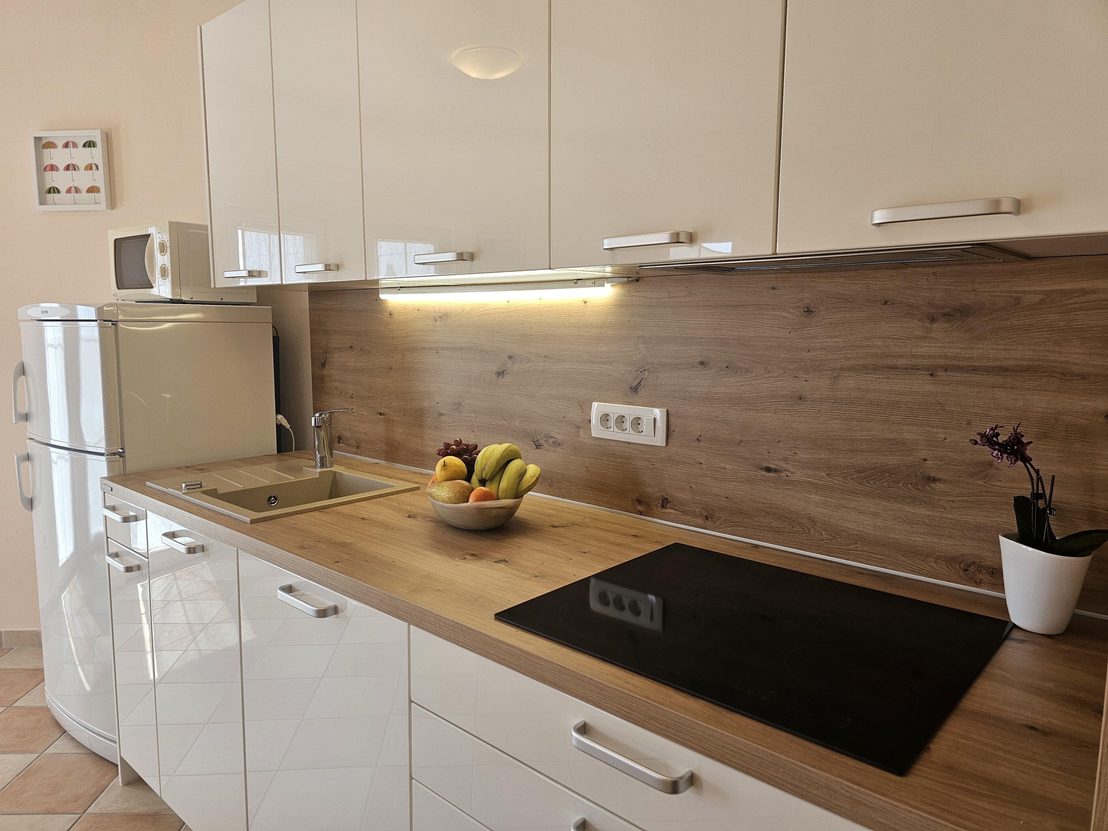 Fridge, oven, stovetop, coffee/tea maker