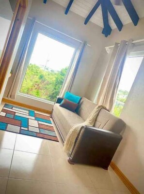 Living area - The View Apartment (Virgin Gorda)