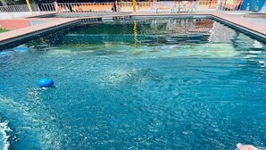 A swimming pool with clear water, a blue ball, and a person swimming.