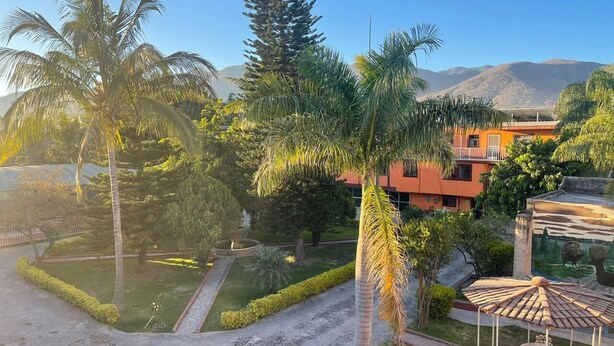 A courtyard with palm trees, a gazebo, and a building with a red facade.