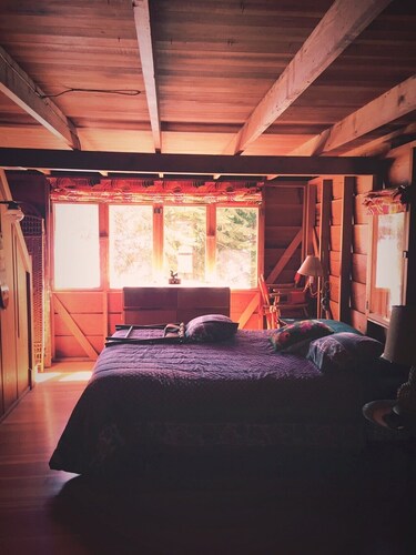 Waterfront West side Lake of the Woods, Or cabin for rent Aug 12-19