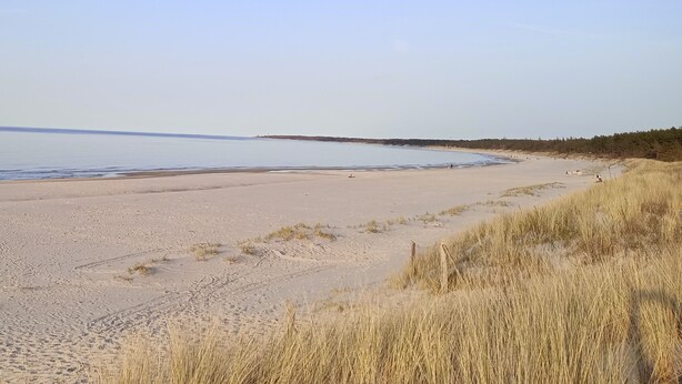 Ranta
