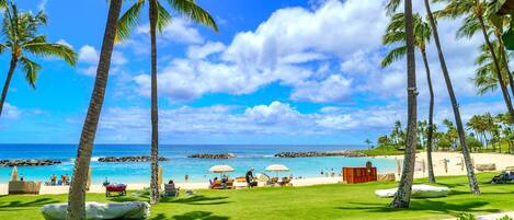 Condo (2 Bedrooms) | Playa | En la playa y playa de arena blanca