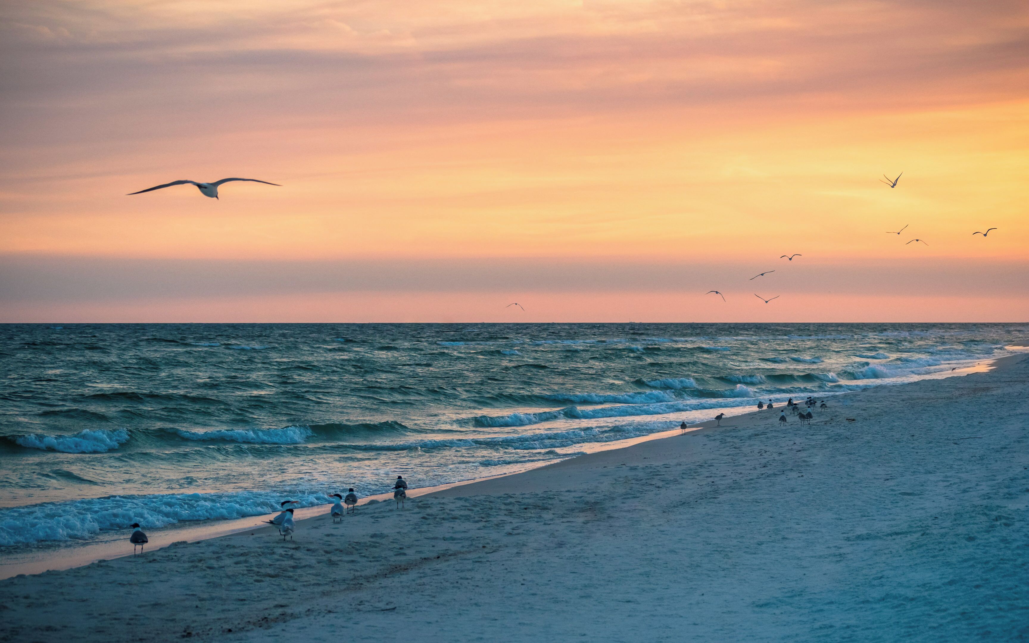 Camastros y toallas de playa 