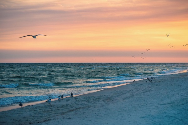 Gandules de platja i tovalloles de platja