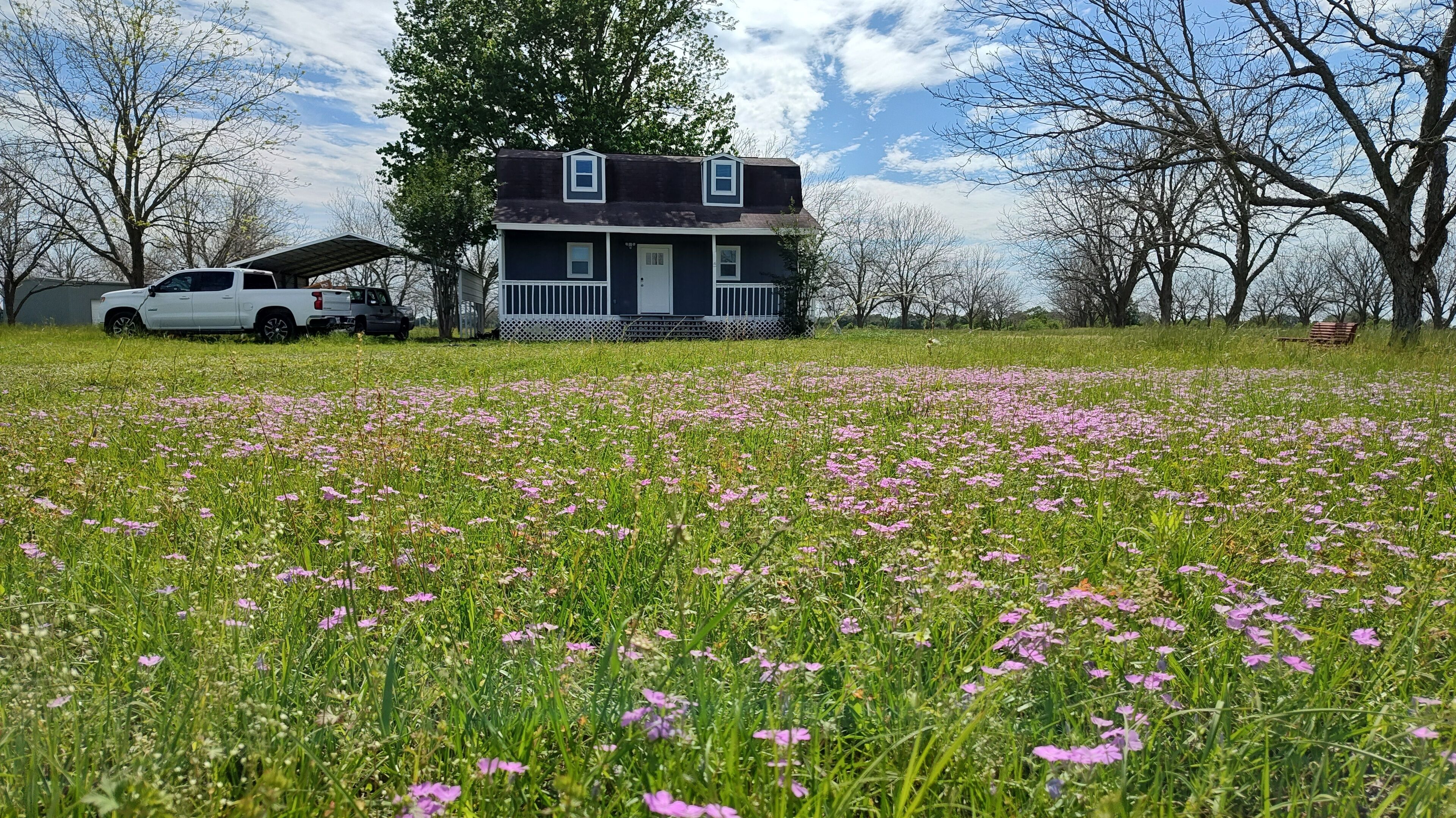 Pecan Farm Cabin