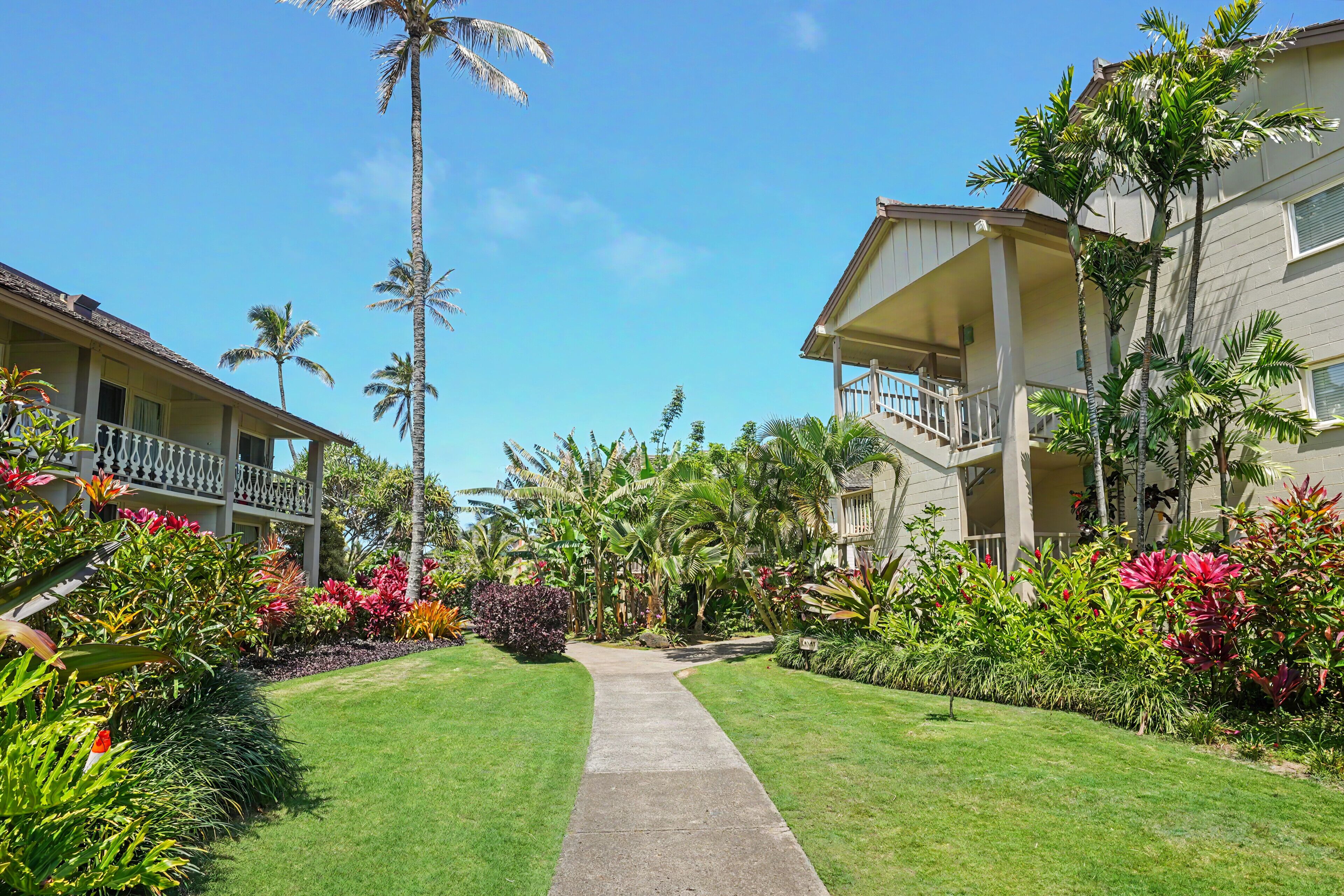 A pathway leading to a building with a balcony, surrounded by lush tropical plants and palm trees.