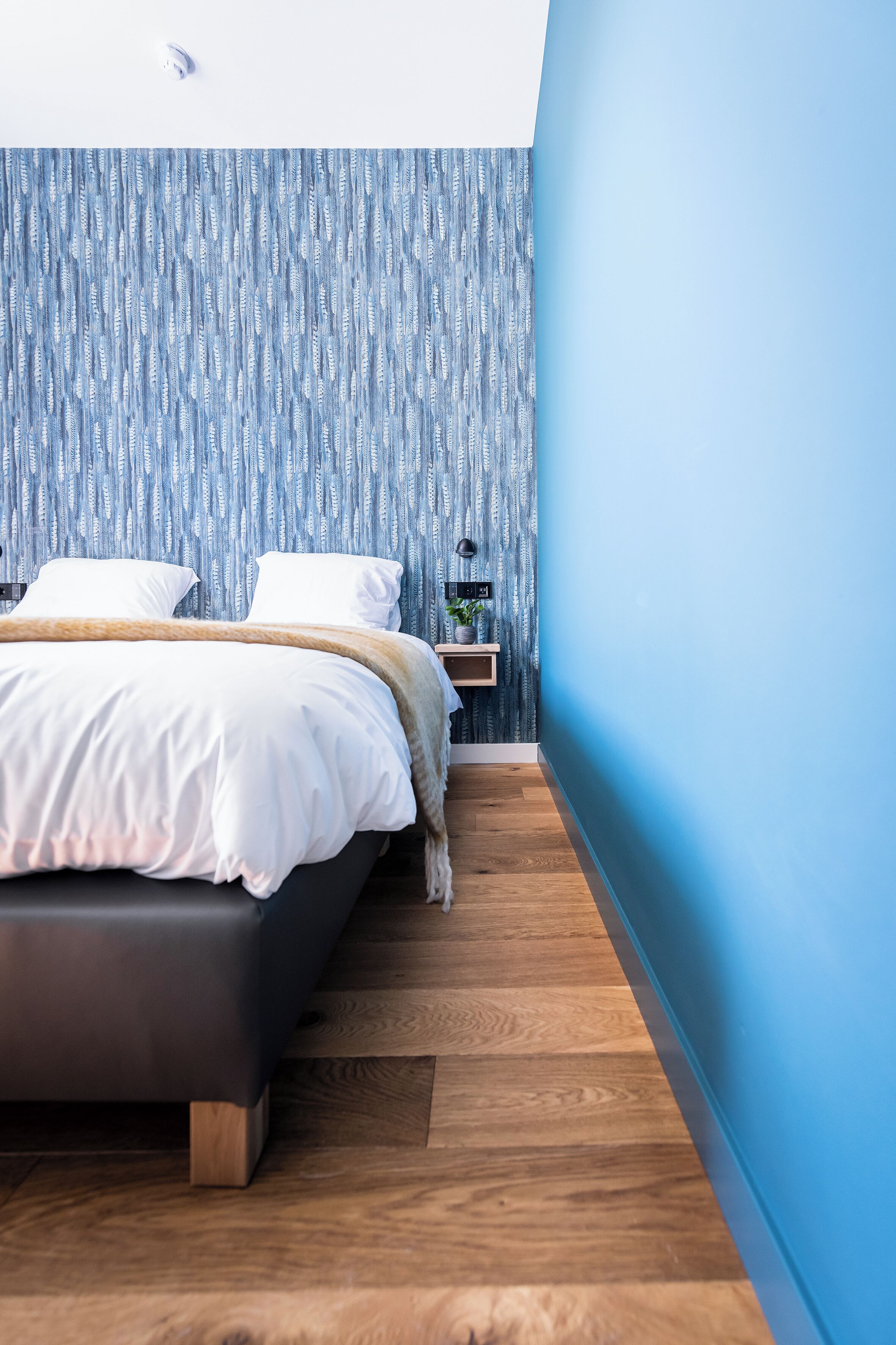 Une chambre à coucher moderne avec un lit, un plancher en bois et un mur d’accent bleu.