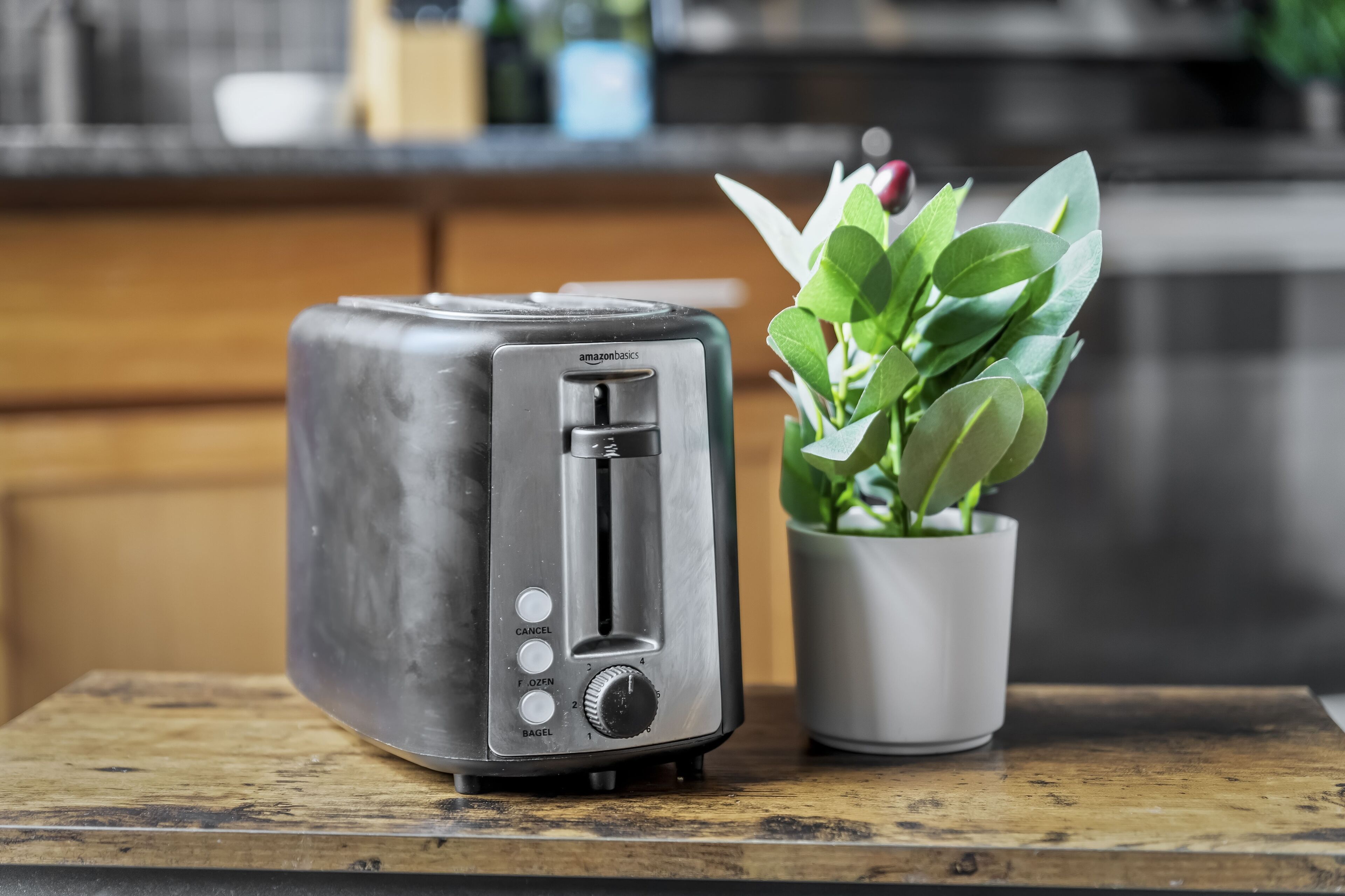 A toaster on a wooden surface with a potted plant beside it.