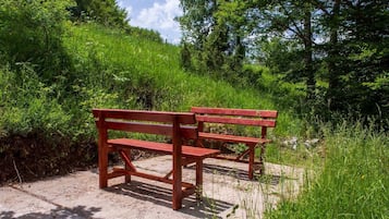 Terrein van de accommodatie