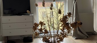 Soul Apartment In The Center