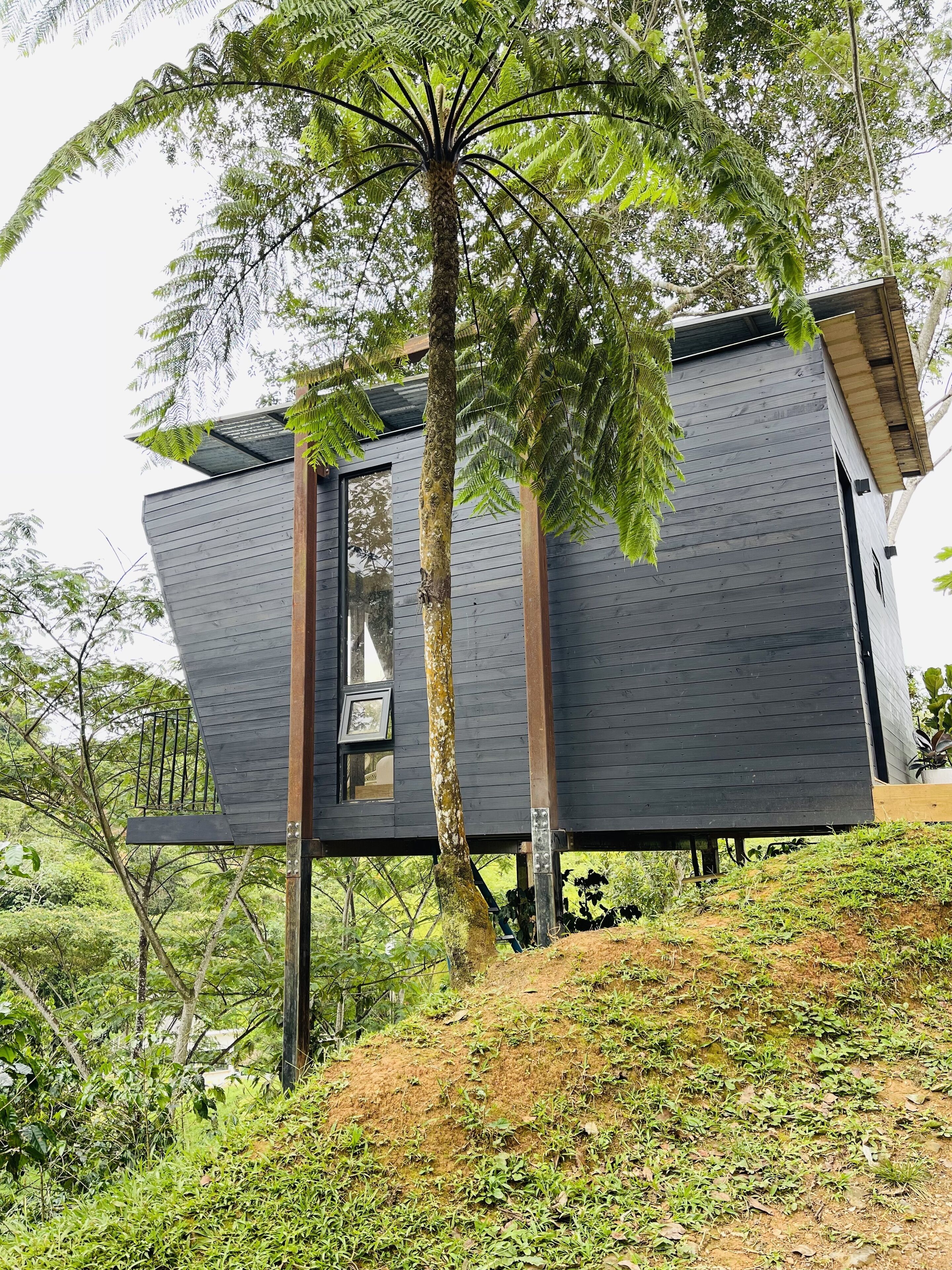 独特小屋, 1 张大床, 无烟房, 山景 | 花园景观