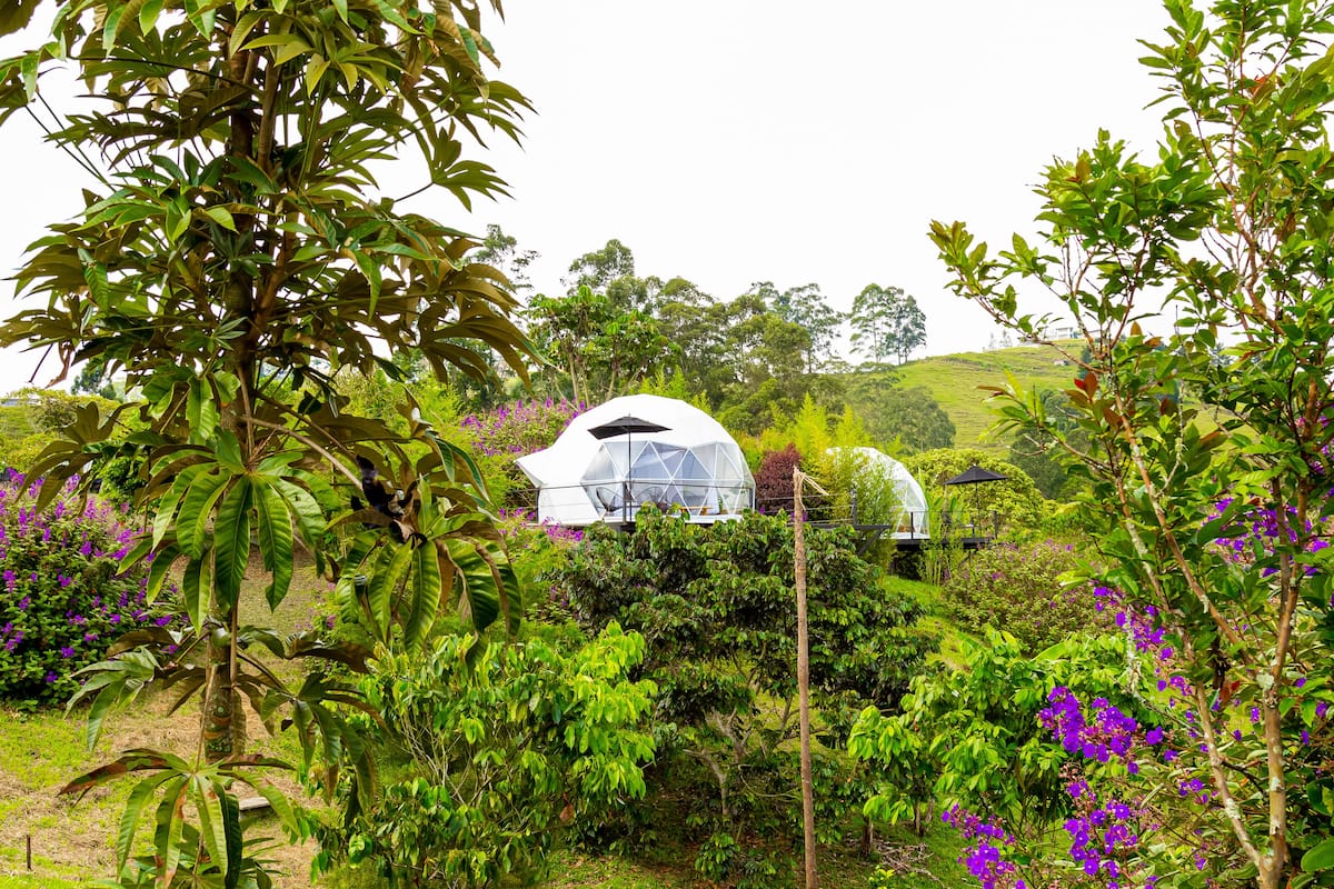 A white dome-shaped structure surrounded by lush greenery and purple flowers.
