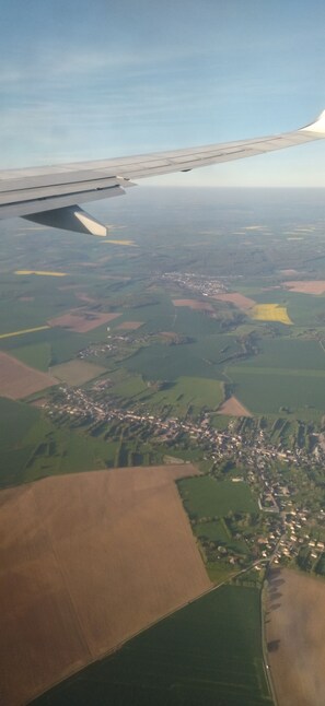 Miscellaneous - Not available (San José del Cabo)