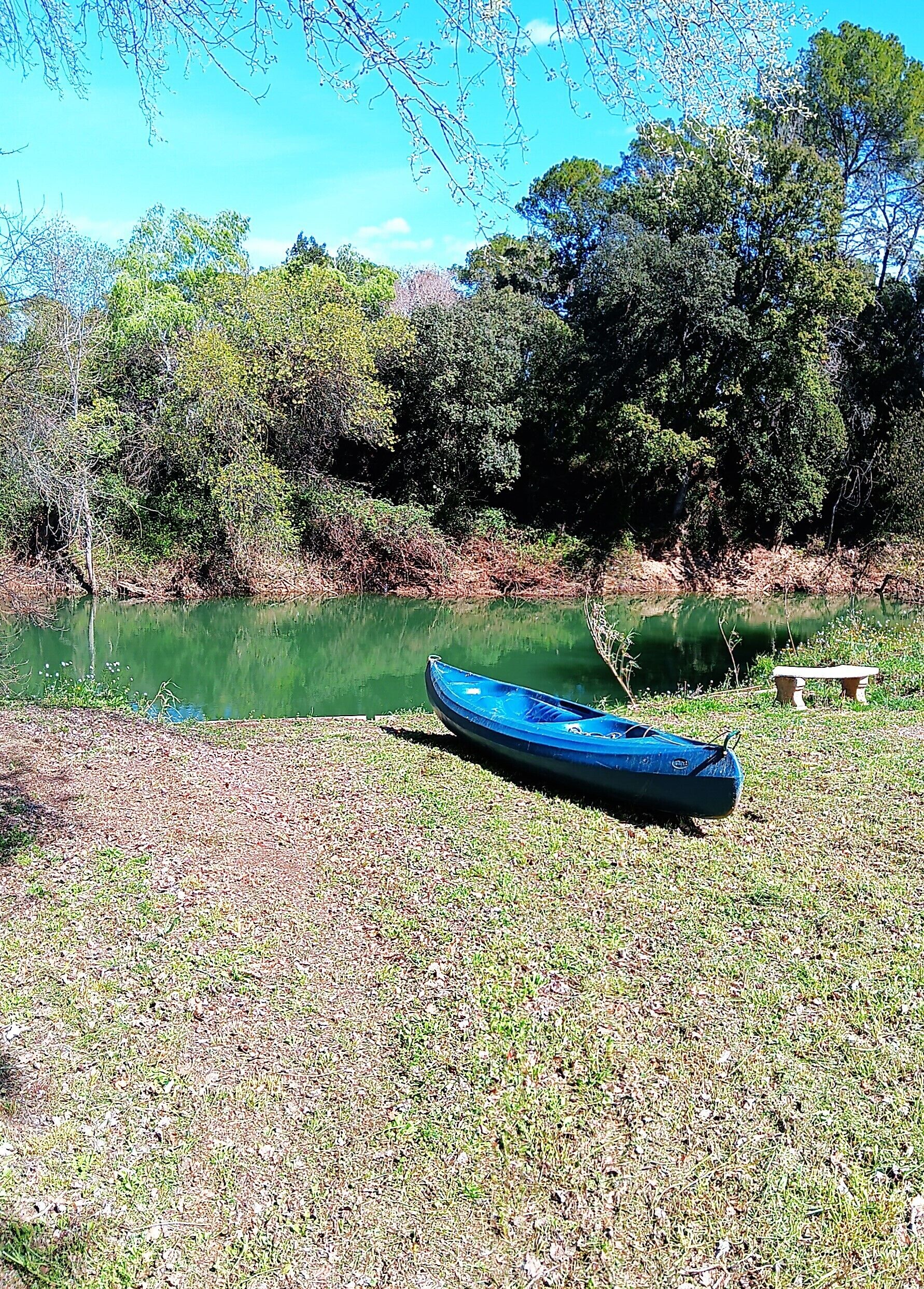 Een blauwe kano aan een gazen oever, langs een rustig waterlichaam, omringd door bomen.