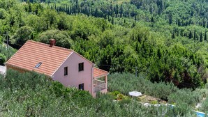 Ein pinkfarbenes Haus mit rotem Dach, umgeben von dichtem Grünwald.