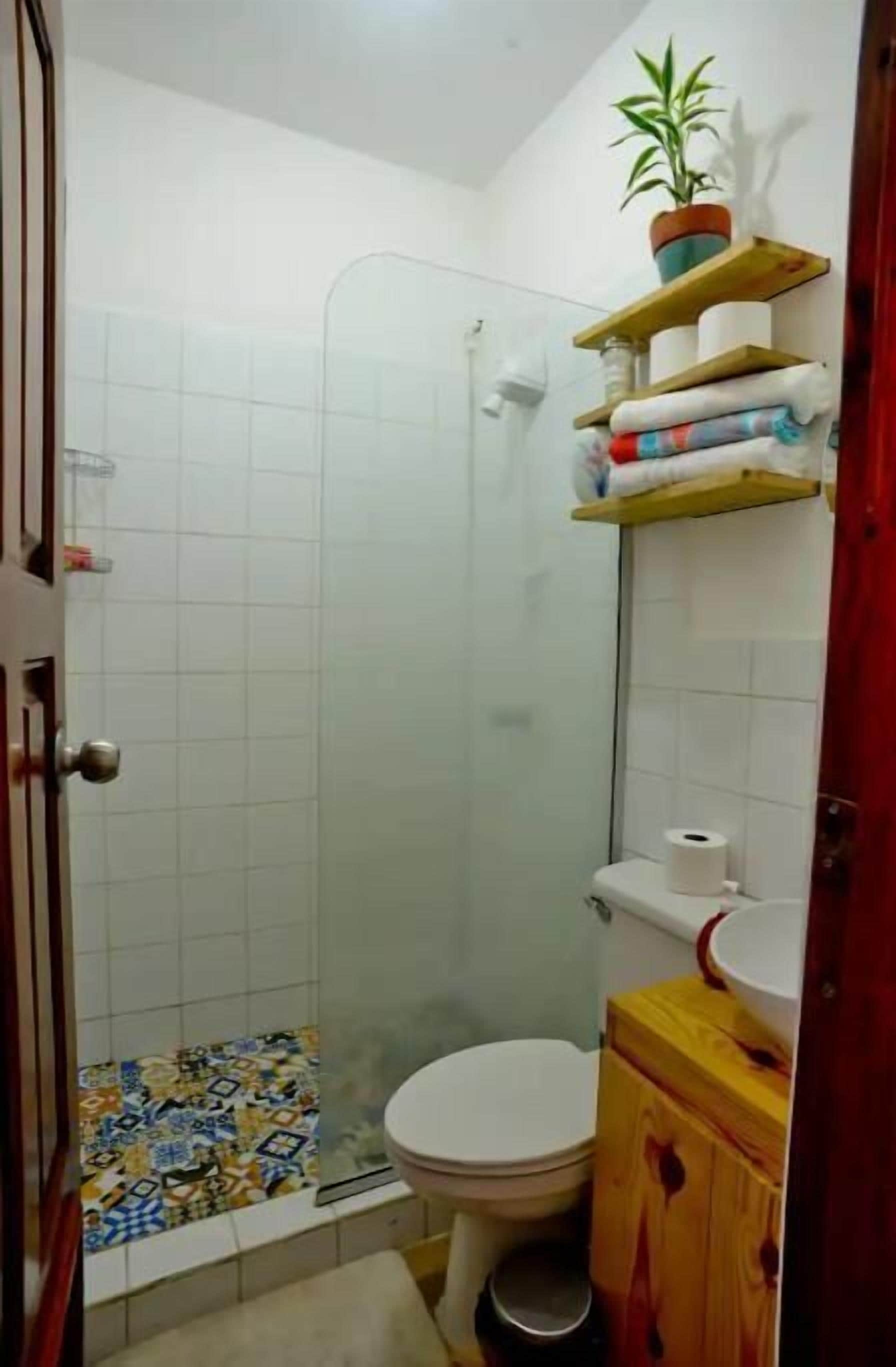 A bathroom with a shower, toilet, and a sink. There are shelves with towels and a potted plant.