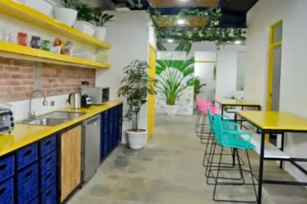 Microonde, piano cottura, carta assorbente