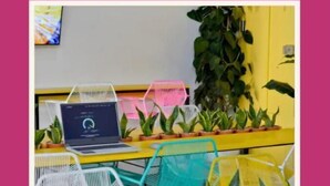 Un espacio de trabajo con una computadora portátil, plantas en macetas y un escritorio amarillo.